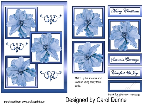 Three squares Blue poinsettias