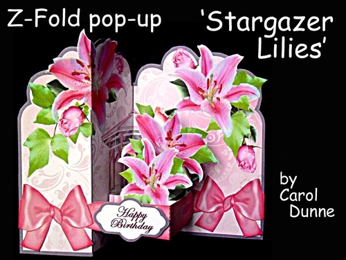 Z-Fold Stargazer lilies