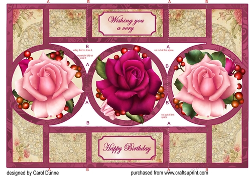 Pink Roses circle shutter card