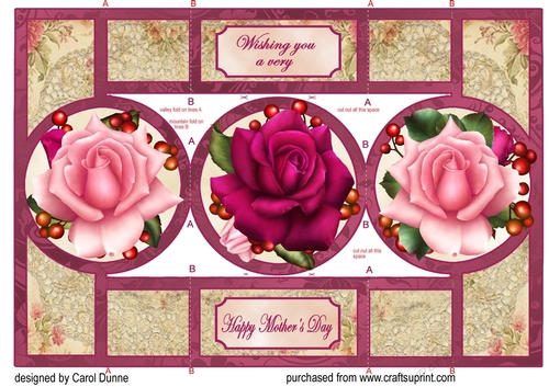 Pink Roses circle shutter card (Mothers Day)
