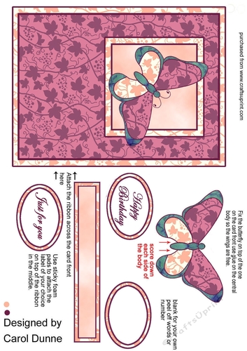 Butterfly front - Purple and pink