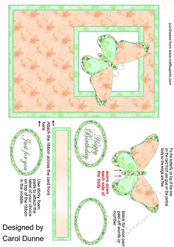 Butterfly front - Mint and peach