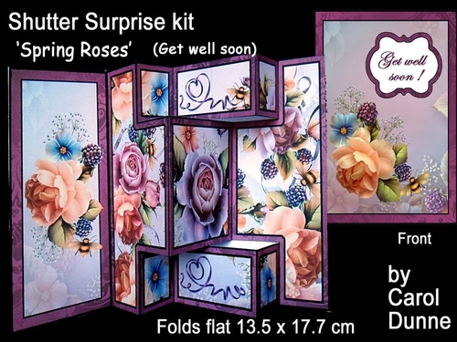 SS Spring Roses   (Get well soon)