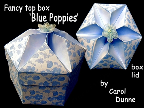 FTB Blue poppies