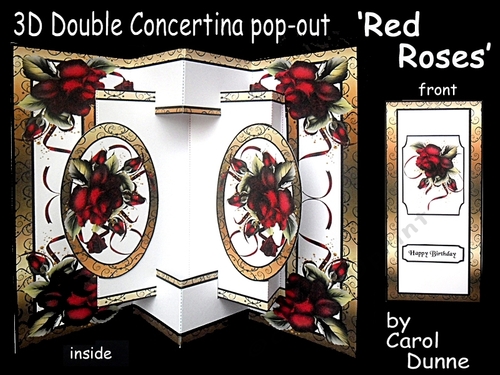 Concertina Red Roses kit