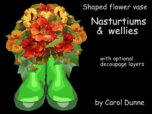 FVW Nasturtiums and Wellies