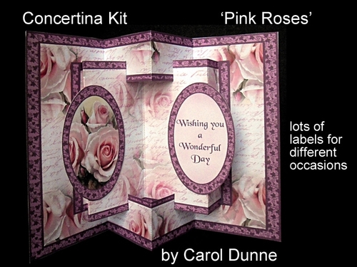 Concertina Pink Roses