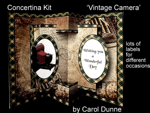 Concertina Vintage camera