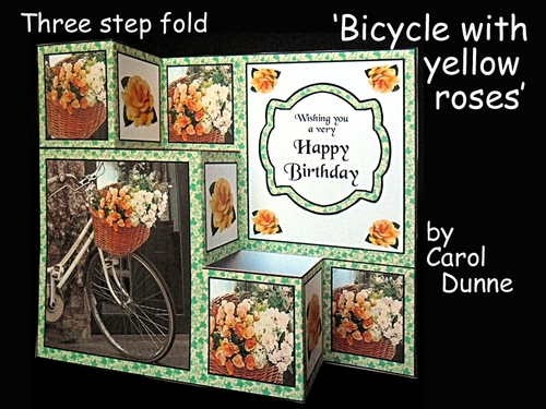 TSF Bicycle with yellow roses