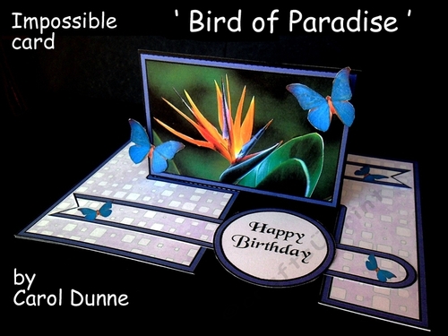 IMP Bird of Paradise