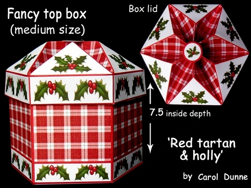 FTBM Tartan & holly