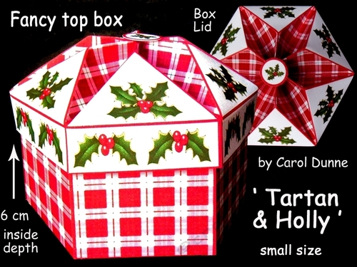 FTBS Tartan & holly