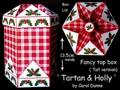 FTBT Tartan & holly