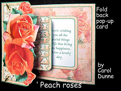 FBP Peach roses