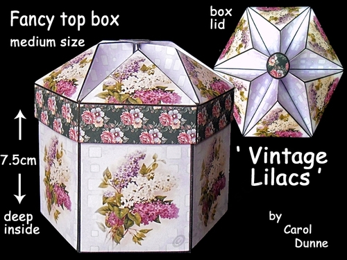 FTBM Vintage Lilacs