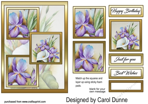 3 squares Irises & lily