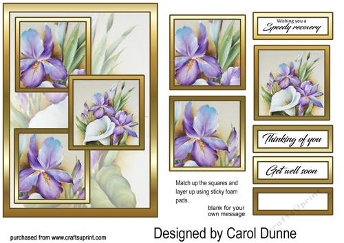 3 squares Irises & lily GWS