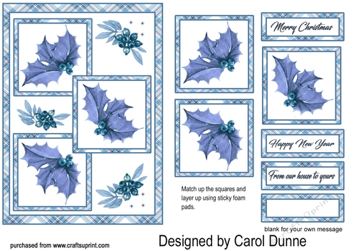 TS Blue holly