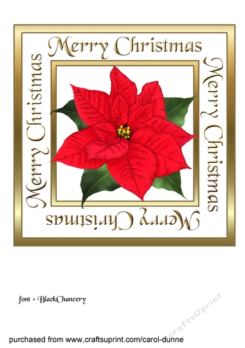 Red Poinsettia square
