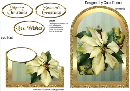 White poinsettia cutaway