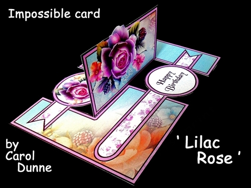 IMP Lilac rose
