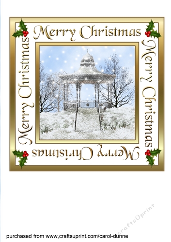 Winter Bandstand 7 inch