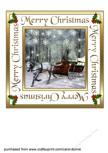 Winter Sleigh 7 inch