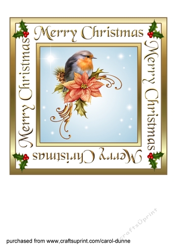 Robin and poinsettias
