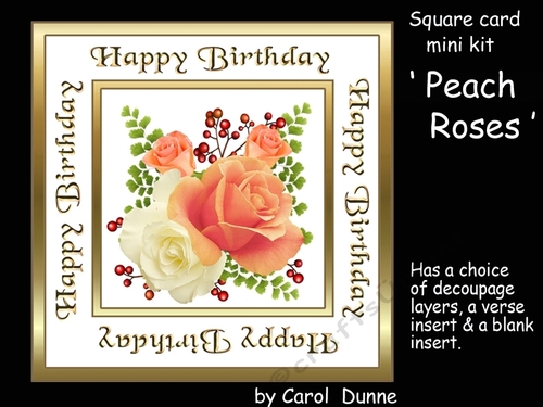 SC Peach Roses