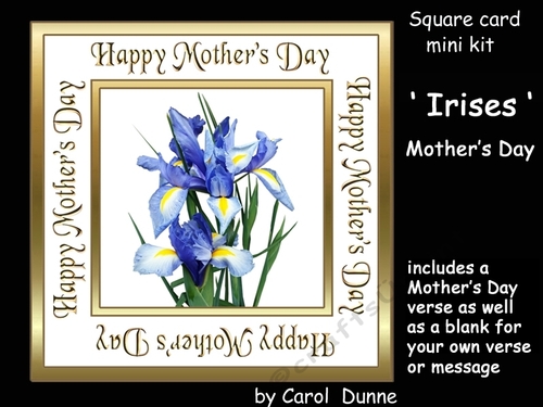 SC Irises (Mothers Day)