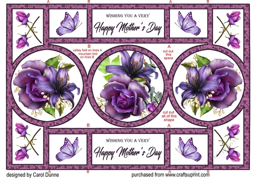 Triflod Shutter Purple rose MD