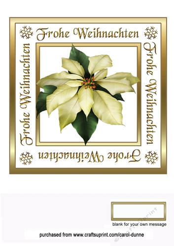 GF White Poinsettia (German)