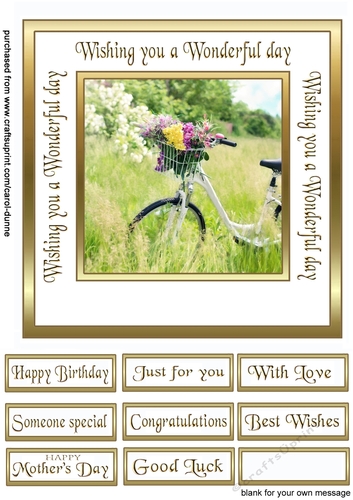 WD Flower Bicycle