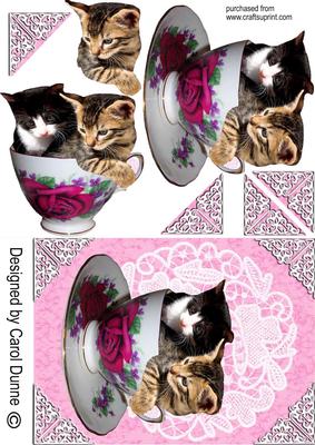 Kittens in a Cup
