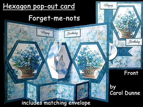 Hex Forget-me-nots pop-out