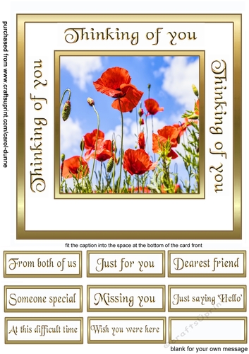 Sc Poppies