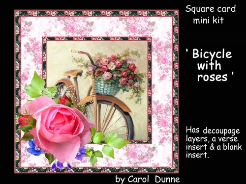 SC Bicycle & roses