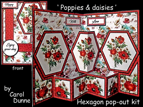 Hex Poppies & daisies