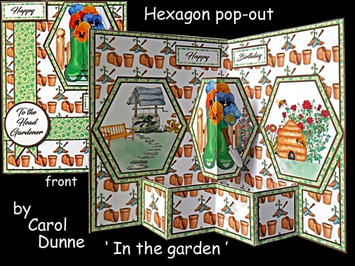 Hexagon In the garden (male)