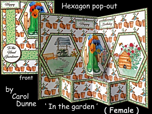 Hexagon In the garden (female)
