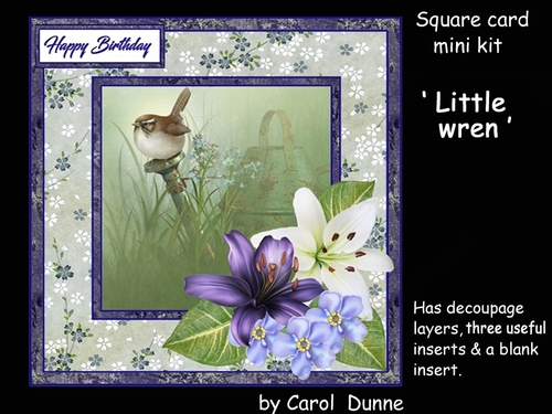 SC Little wren