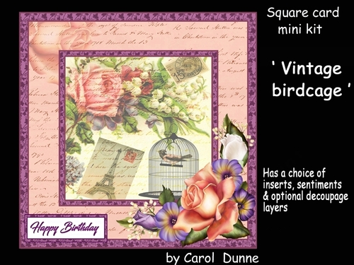 SC Vintage birdcage