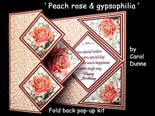 FBS Peach roses & gypsophilia