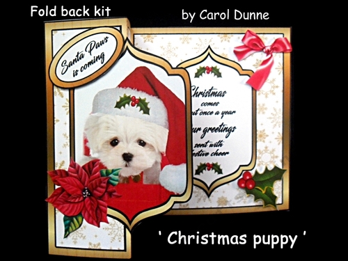 FB Christmas Puppy