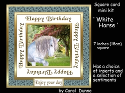 SC White horse
