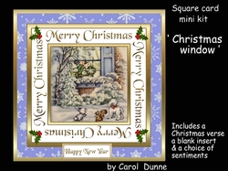 SC Christmas window