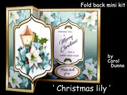 FB Christmas lily