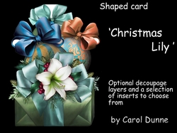 SFC Christmas Lily