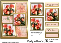 TS Peach roses