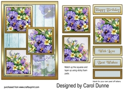 TS Pansies & primroses